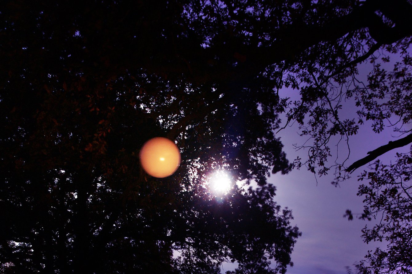 Die Perspektive des Bildes geht in eine Baumkrone. Der Himmel ist lila eingefärbt, wie in der Dämmerung. Durch die Baumkrone scheint ein Licht. Neben dem Licht ist ein orangener Ball, der aussieht als wäre er in das Bild montiert.