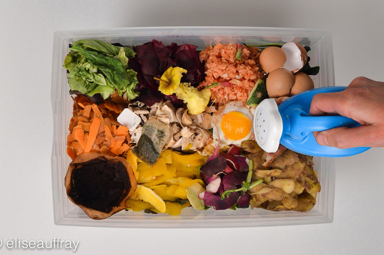 Eine Box mit Essensresten wird mit einer Plastikgießkanne gegossen. 