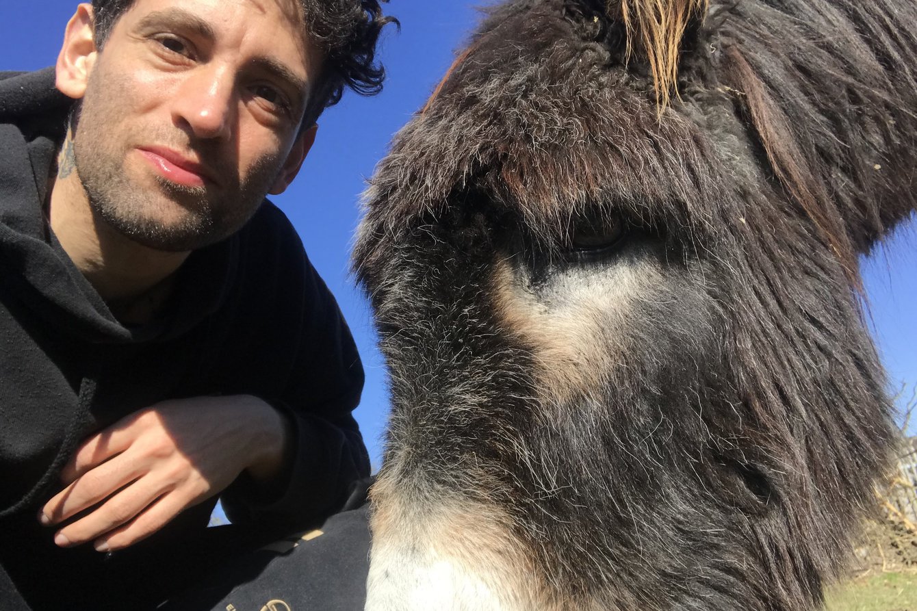 Daniel Hellmann macht ein Selfie mit einem Esel