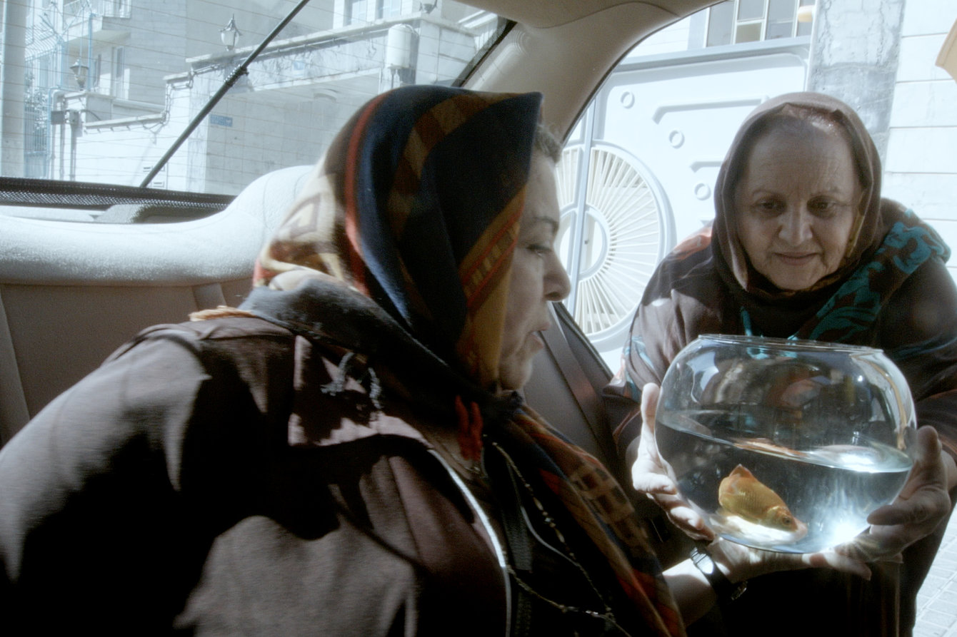 Zwei Damen steigen mit einem Goldfischglas in ein Taxi ein.